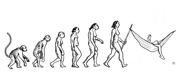 תמונה מהיכן מגיעים הרעיונות